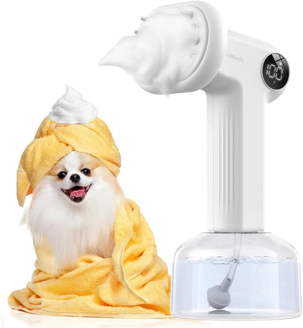 Best deals for everyday items at special prices daily
